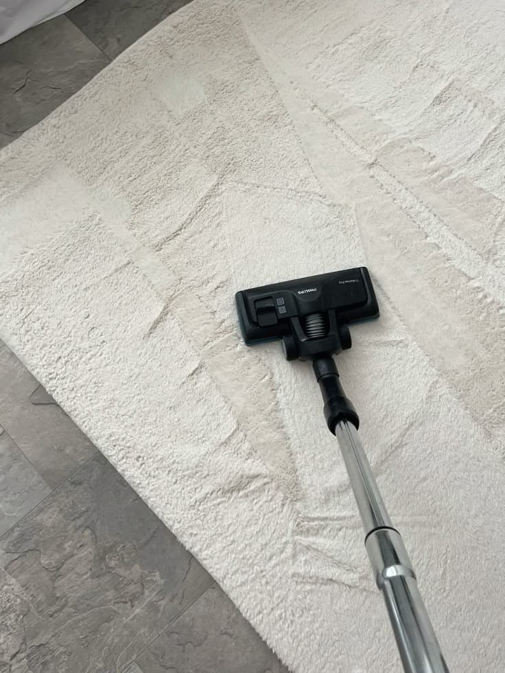 Cordless vacuum — gentle on rugs, gentle on floors